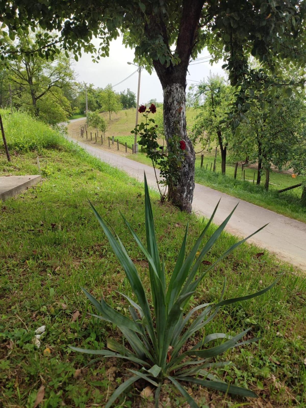 Apartman-Vikendica Mihajlovic Banja Luka Zewnętrze zdjęcie